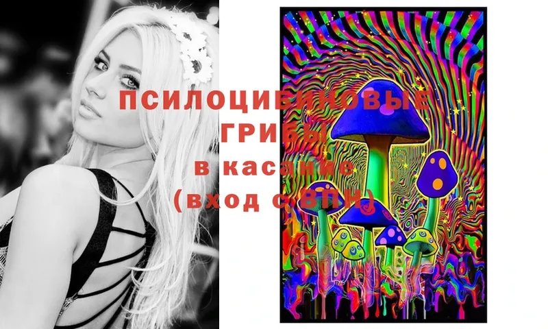 Псилоцибиновые грибы MAGIC MUSHROOMS  кракен зеркало  Карабаш 